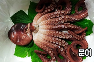 ~~싱싱한반건오징어/문어~~